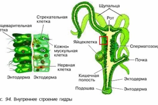 Кракен сайт 1kraken me